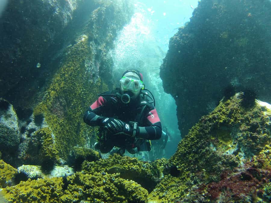 Rio: Best Dive Experience All Inclusive Scuba Diving Package - Key highlights you’ll care about