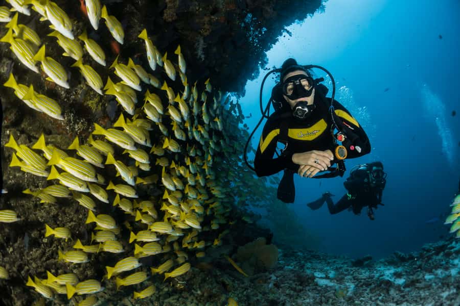 Rio: Best Dive Experience All Inclusive Scuba Diving Package - The in-water experience: snorkeling time plus guided underwater sessions