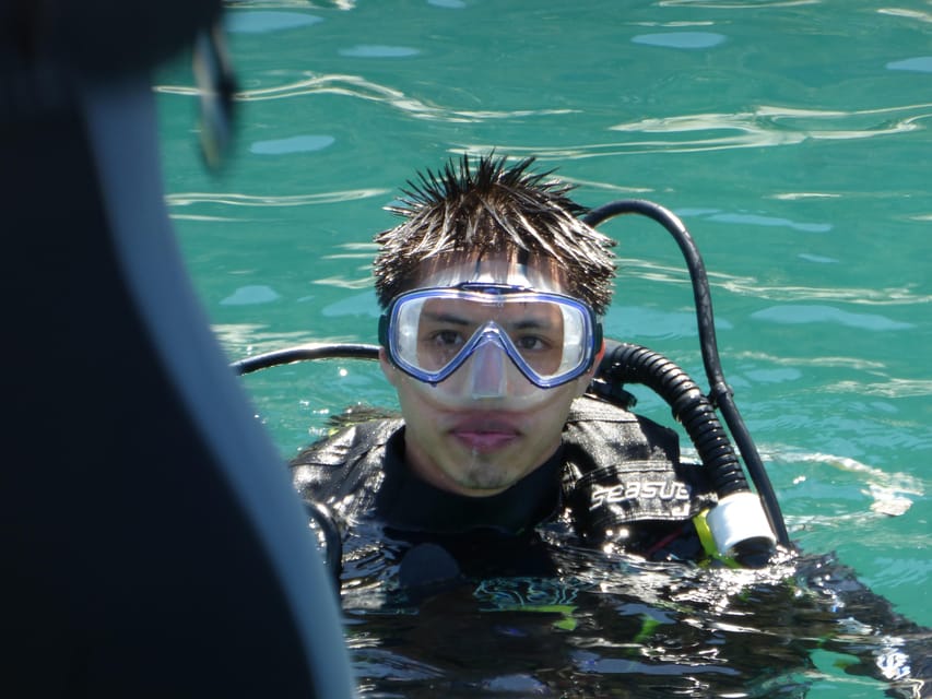 Rio: Best Dive Experience All Inclusive Scuba Diving Package - Marine life: what you can hope to see (and how to spot it)