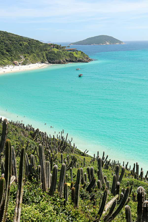 Rio: Best Dive Experience All Inclusive Scuba Diving Package - Wind, boat departures, and how to protect your schedule
