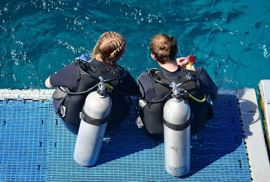 Rio: Best Dive Experience All Inclusive Scuba Diving Package - Price and value: what you’re really paying for at $240