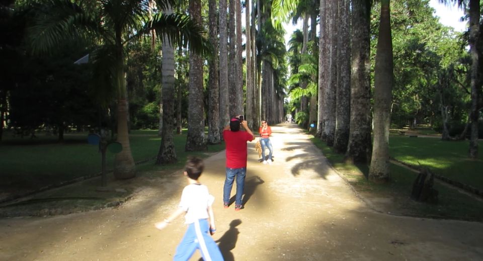 Rio: Botanical Garden, Tijuca Forest, and Parque Lage Tour - Your guide and the private-group setup (and how pickup works)