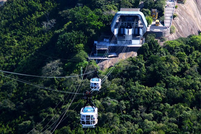 Rio by Day - Main Sights Tour - A Full-Day Route That Starts With Beaches and Ends With Big Views