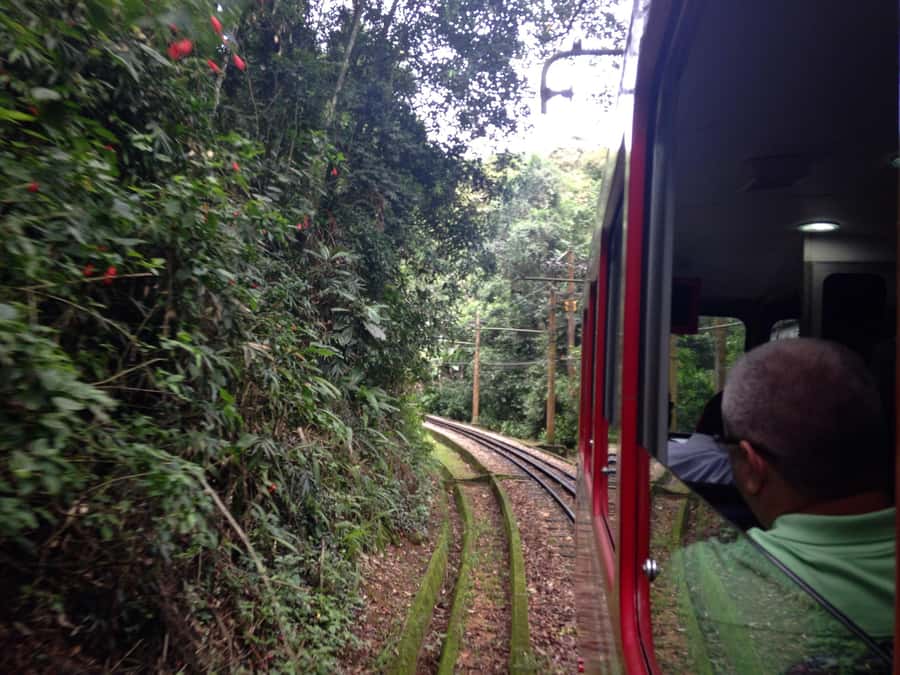 Rio: Christ The Redeemer Half Day Tour With Pick up - Who should book this Christ the Redeemer half-day tour