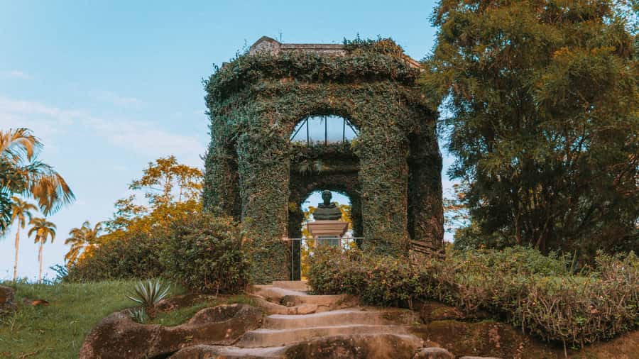 Rio de Janeiro: 4-Hour Botanical Garden & Tijuca Forest Tour - Quick Hits: What Makes This Tour Worth Your Time