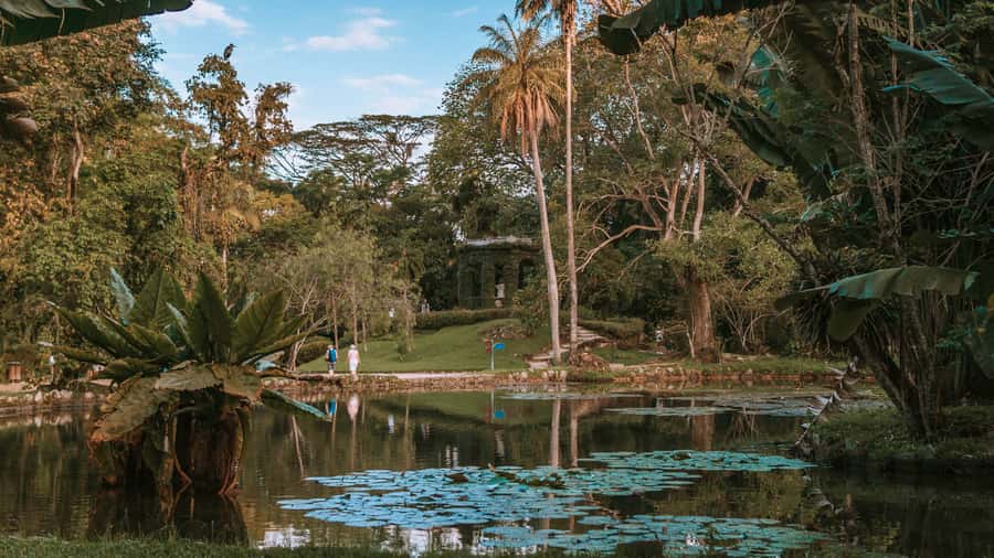 Rio de Janeiro: 4-Hour Botanical Garden & Tijuca Forest Tour - Tijuca National Forest walk: Atlantic Forest, Taunay Waterfall, and real shade