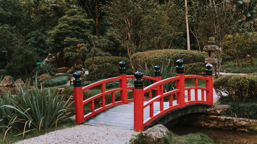 Rio de Janeiro: 4-Hour Botanical Garden & Tijuca Forest Tour - Price and time: is $51 good value for all this?