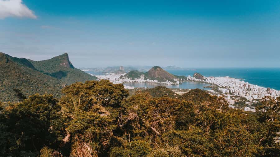 Rio de Janeiro: 4-Hour Botanical Garden & Tijuca Forest Tour - Who this tour suits best (and who should think twice)