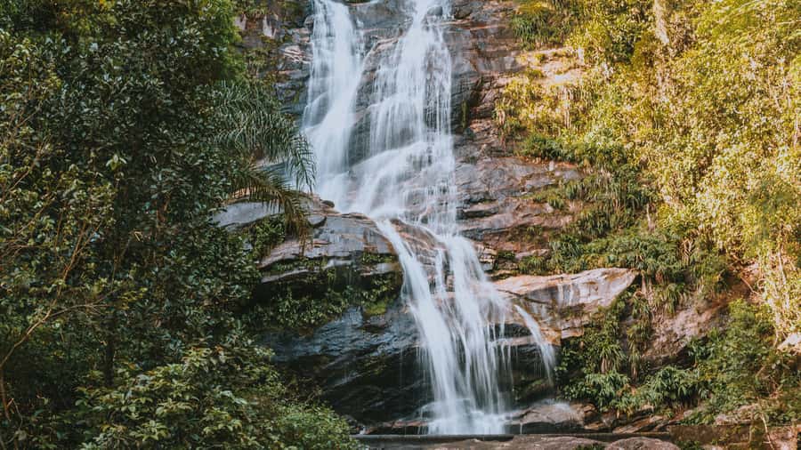 Rio de Janeiro: 4-Hour Botanical Garden & Tijuca Forest Tour - What to bring and how to make the day feel easy
