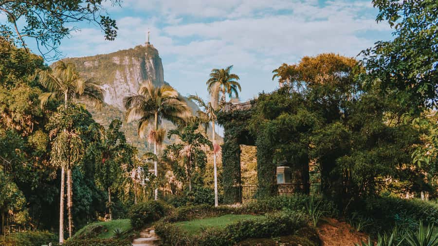 Rio de Janeiro: 4-Hour Botanical Garden & Tijuca Forest Tour - Vista Chinesa at 388 meters: the weekday-only payoff