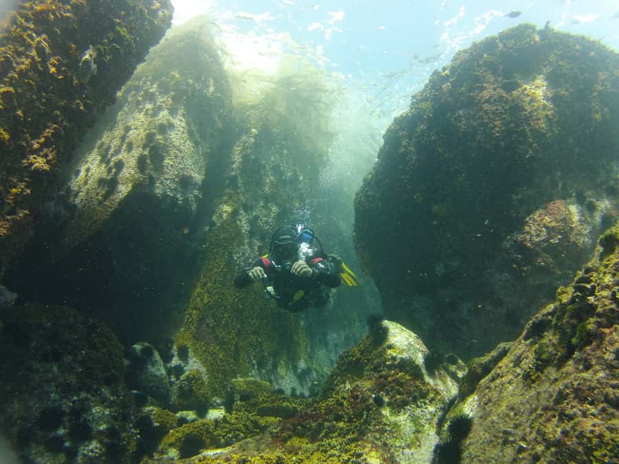 Rio de Janeiro: Arraial do Cabo Scuba Diving Day Trip - What to Bring (So You Don’t Get Stuck in Wet Clothes)