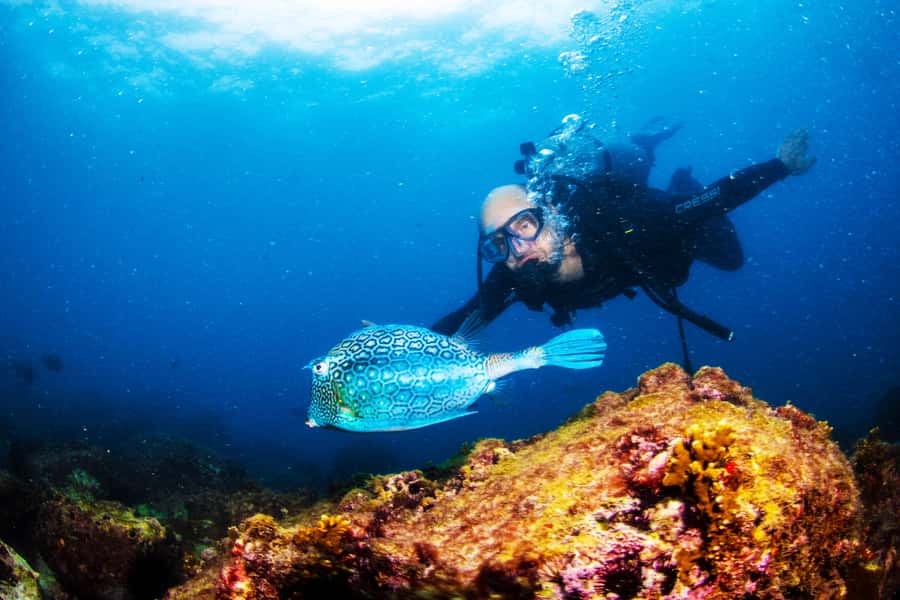 Rio de Janeiro: Arraial do Cabo Scuba Diving Day Trip - Why Arraial do Cabo Feels Like a Different Coast From Rio