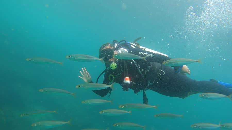 Rio de Janeiro: Arraial do Cabo Scuba Diving Day Trip - Your Underwater Time: Depth Range, Water Temperature, and Wildlife Chances