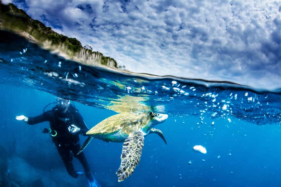 Rio de Janeiro: Arraial do Cabo Scuba Diving Day Trip - Small Group Logistics: Up to 6 People, Multiple Stops, and Pace of the Day