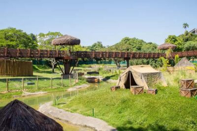 Rio de Janeiro: BioParque Guided Tour with Transfer - The 4-hour flow: hotel pickup, park time, and return