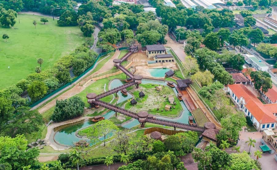 Rio de Janeiro: BioParque Guided Tour with Transfer - Conservation and animal welfare: what the guide will focus on