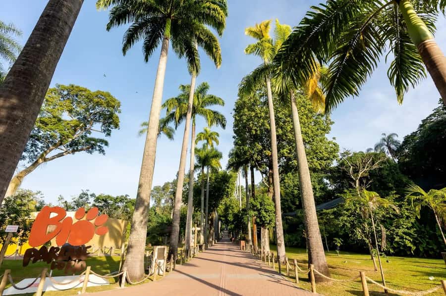 Rio de Janeiro: BioParque Guided Tour with Transfer - Timing and traffic: how to keep your day from getting messy