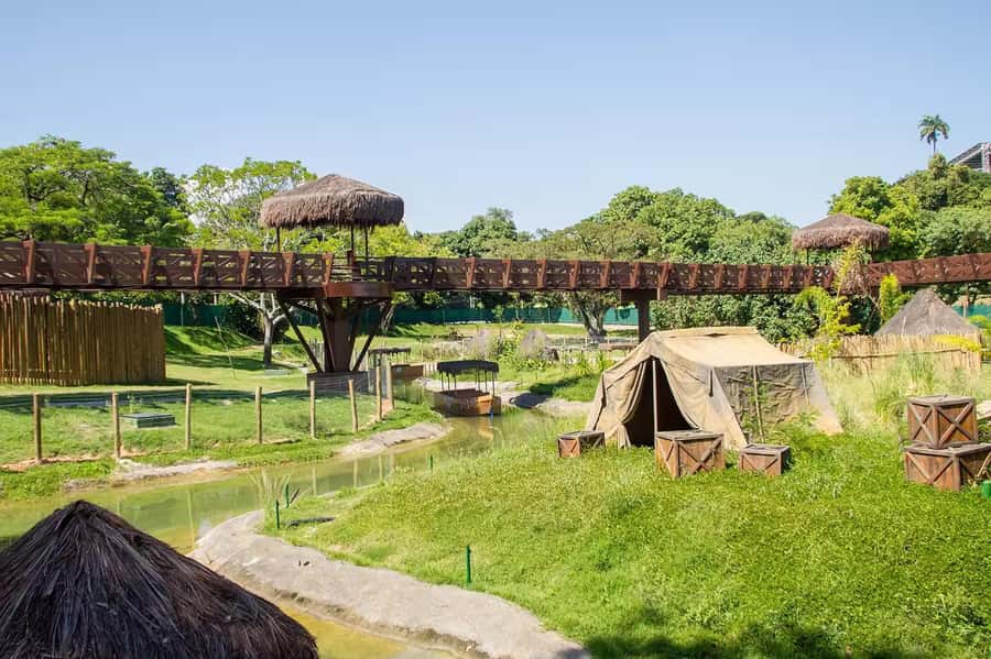 Rio de Janeiro: BioParque Guided Tour with Transfer - The 4-hour flow: hotel pickup, park time, and return