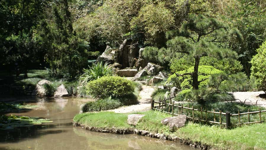 Rio de Janeiro: Botanical Garden Guided Visit - What to Wear, Bring, and Plan for in Rio’s Botanical Heat