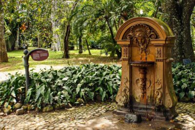 Rio de Janeiro: Botanical Garden Guided Visit - Your 4-Hour Flow: Pick-Up to Palms, Ponds, and Peace