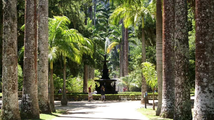 Rio de Janeiro: Botanical Garden Guided Visit - Price and Value: Is $83 for 4 Hours a Good Deal?