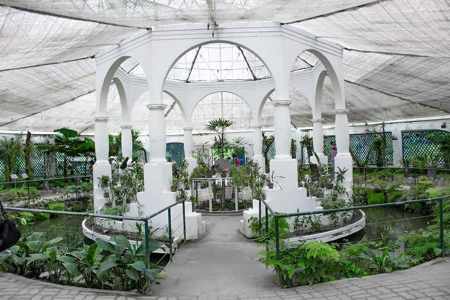 Rio de Janeiro: Botanical Garden & Tijuca Forest Guided Tour - Who This Tour Suits Best (And Who Might Want Something Else)