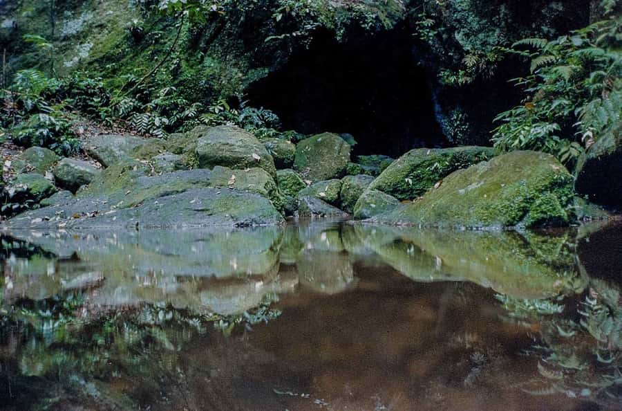 Rio de Janeiro: Botanical Garden & Tijuca Forest Guided Tour - Waterfalls and Viewpoints Along the Route
