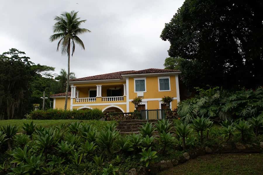 Rio de Janeiro: Botanical Garden & Tijuca Forest Guided Tour - Timing, Shoes, and What to Bring for a Smooth Day