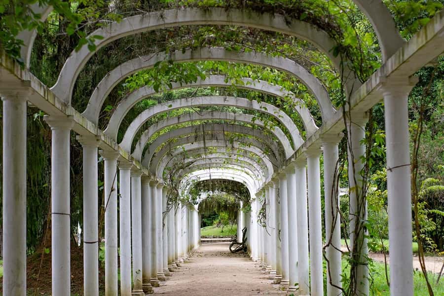 Rio de Janeiro: Botanical Garden & Tijuca Forest Guided Tour - Guide Quality: Small Group Energy and a Real-World Example