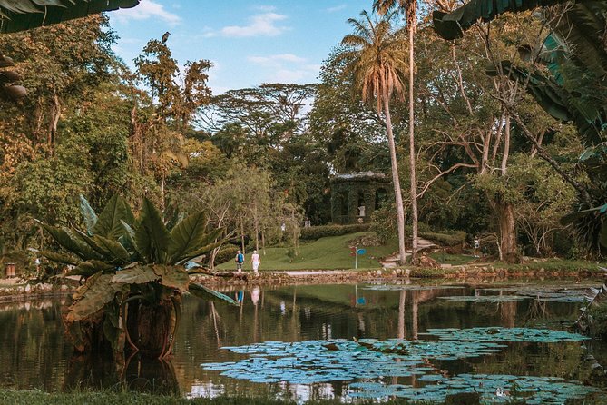 Rio de Janeiro Botanical Garden & Tijuca Forest Tour - Vista Chinesa: spectacular viewpoint, but check weekend access