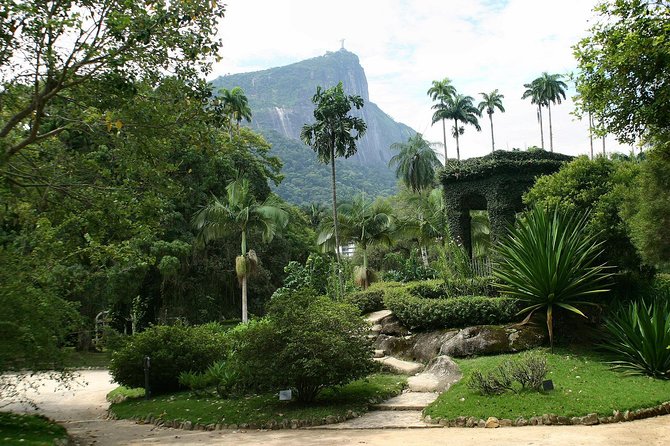 Rio de Janeiro Botanical Garden Tour - Why this Rio Botanical Garden tour feels worth the money