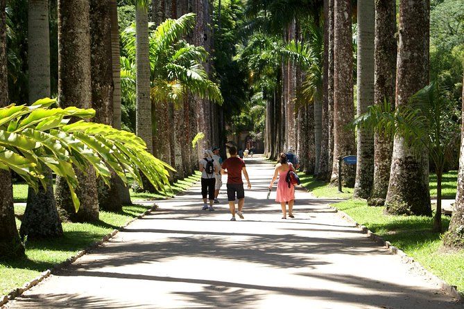 Rio de Janeiro Botanical Garden Tour - Free time after the tour: pick your own pace