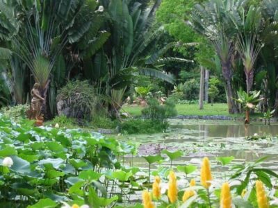 Rio de Janeiro Botanical Garden Tour - Getting to the garden: Corcovado’s back-door access from your hotel