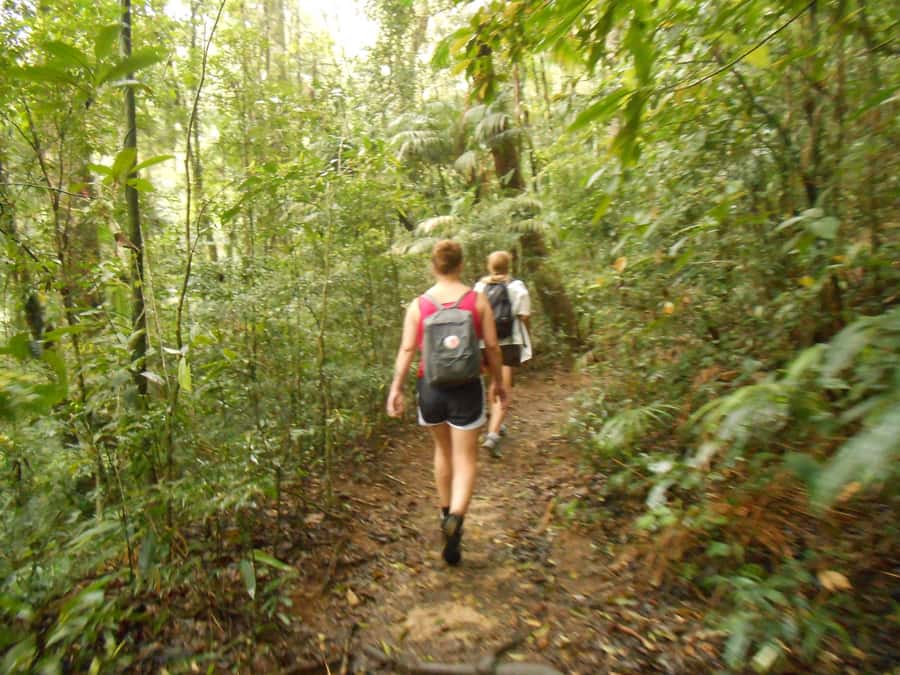 Rio de Janeiro: Christ the Redeemer Guided Hike - The Ascent on Corcovado: Moderate, Not Casual