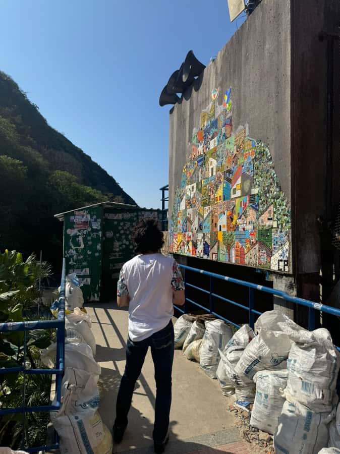 Rio de Janeiro: Favela Santa Marta Top Tour with Local Guide - Community-led Santa Marta: what makes this tour feel real