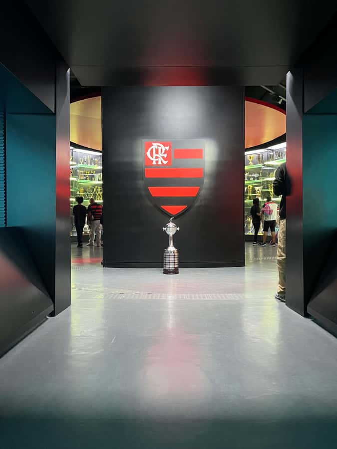 Rio de Janeiro: Flamengo Museum Ticket Entrance - Where the Flamengo Museum fits in Rio (Gávea, not the tourist strip)