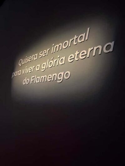 Rio de Janeiro: Flamengo Museum Ticket Entrance - What you’ll actually do inside: ticket entry + a guided-style digital route