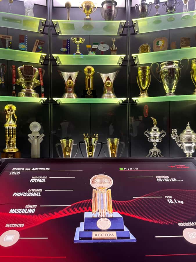 Rio de Janeiro: Flamengo Museum Ticket Entrance - Multi-sport artifacts and preserved collection: more than match-day fame