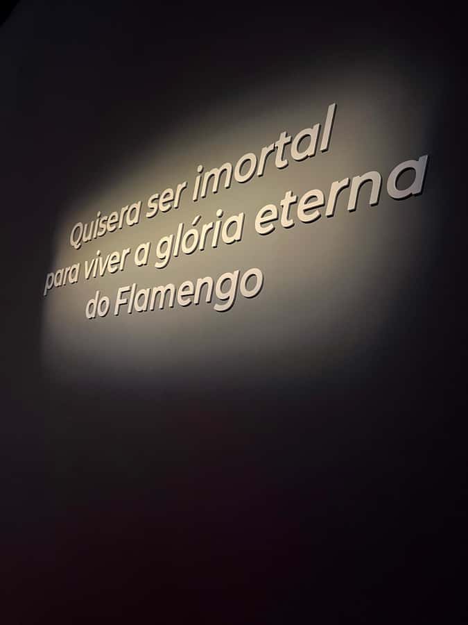 Rio de Janeiro: Flamengo Museum Ticket Entrance - What you’ll actually do inside: ticket entry + a guided-style digital route