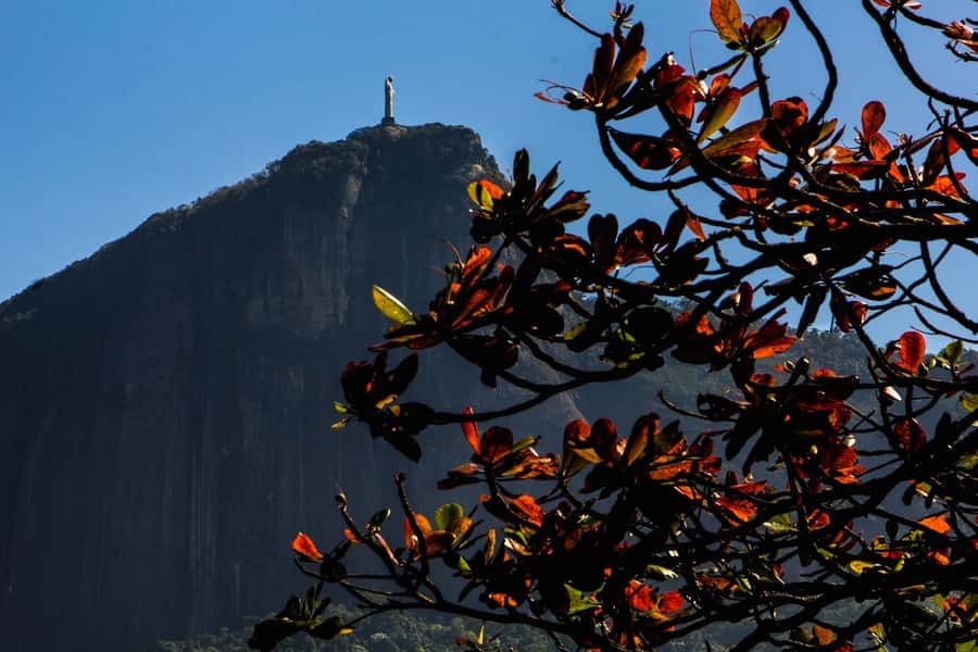 Rio de Janeiro: Guided Bike Tours in Small Groups - A small-group bike tour that teaches you how Rio works