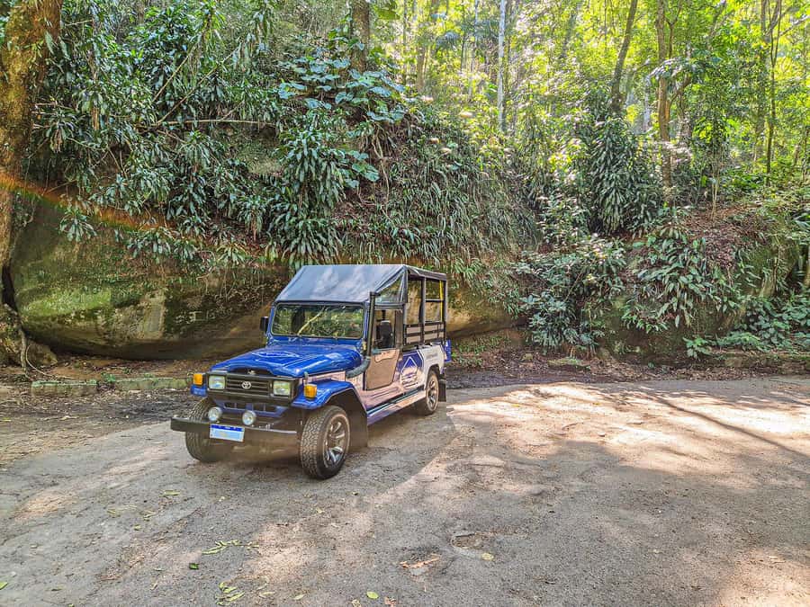 Rio de Janeiro: Guided Jeep Tour through Tijuca Rainforest - Should you book the Rio de Janeiro Tijuca guided jeep tour?