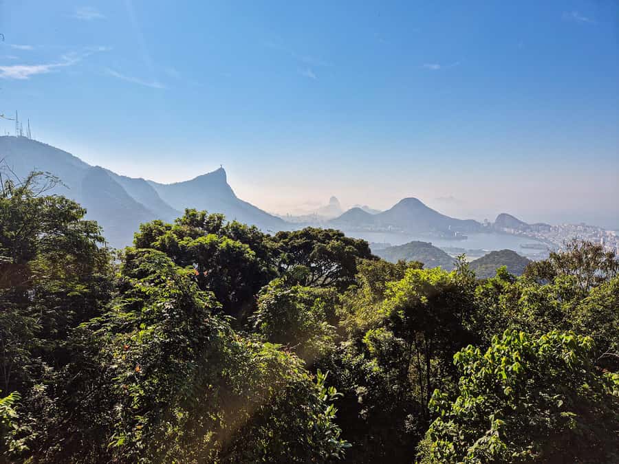 Rio de Janeiro: Guided Jeep Tour through Tijuca Rainforest - Guides and drivers: what makes this feel safe and fun