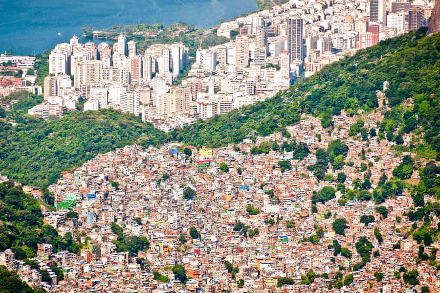 Rio De Janeiro: Half-Day Rocinha Favela Walking Tour - Rocinha on foot: why this tour feels different