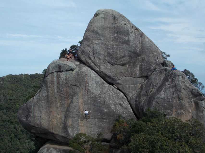 Rio de Janeiro: Hiking and Rappelling at Tijuca Forest - The climb to Bico do Papagaio: steep, rugged, and built for real hikers