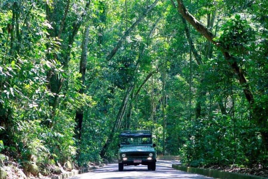 Rio de Janeiro: Jeep Tour Christ the Redeemer + Sugar Loaf - Why this jeep tour works for first-timers (and busy schedules)