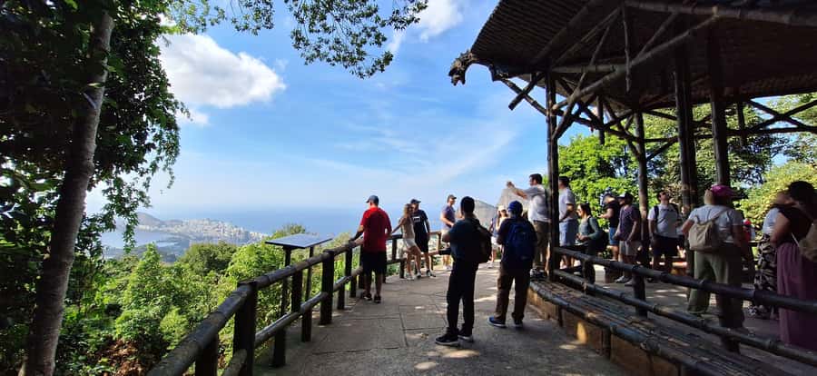 Rio de Janeiro: Jeep Tour in the Tijuca Forest - Open-top Jeep Touring in the World’s Largest Urban Forest