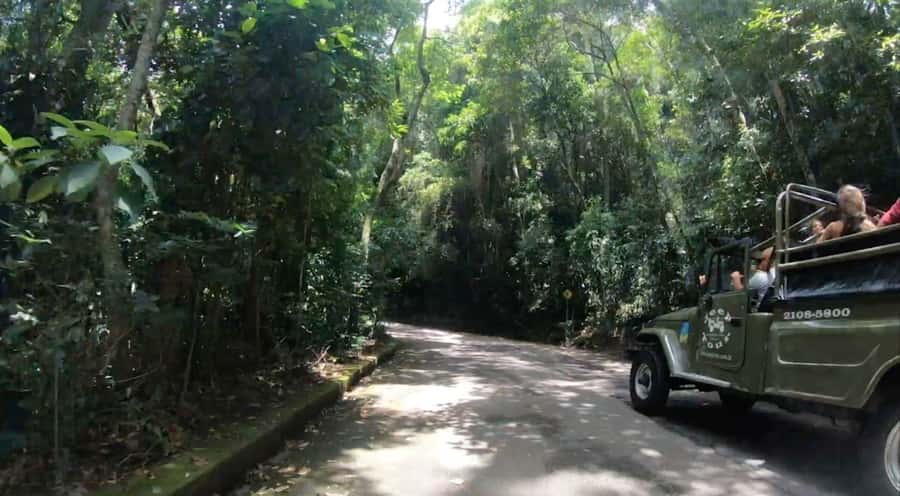 Rio de Janeiro: Jeep Tour in the Tijuca Forest - Vista Chinesa Photo Stop: Lookouts With Real Payoff