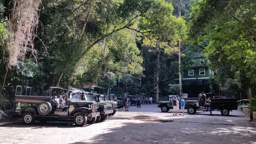 Rio de Janeiro: Jeep Tour in the Tijuca Forest - Short Walks and Atlantic Forest Wildlife Odds