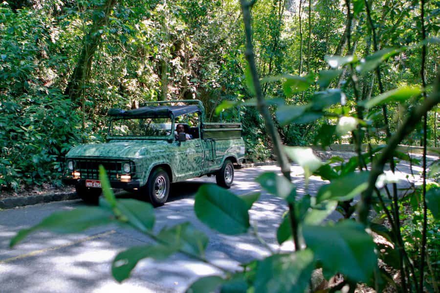 Rio de Janeiro: Jeep Tour in the Tijuca Forest - Price and Value: Is $82 for 4 Hours Fair?
