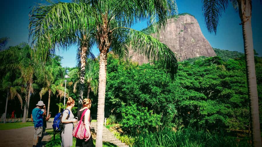 Rio de Janeiro Nature Secrets 'The Eco Citytour' - Rio’s Nature Secrets: what this tour really delivers